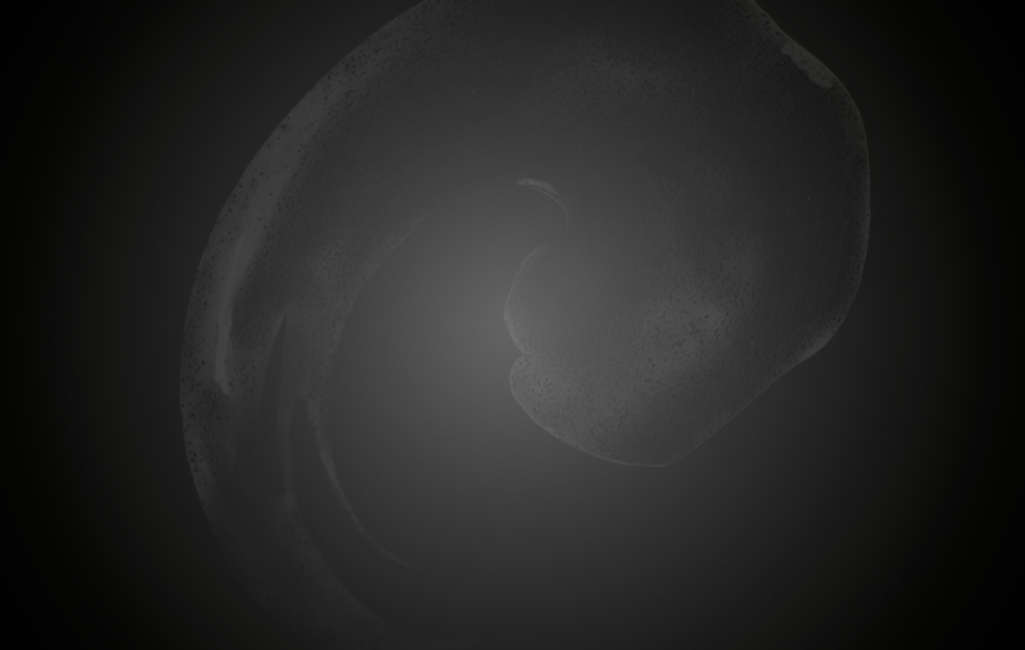 Background Pattern
